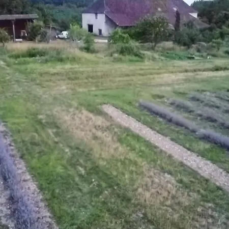Farm stay D'hotes Cugnac *