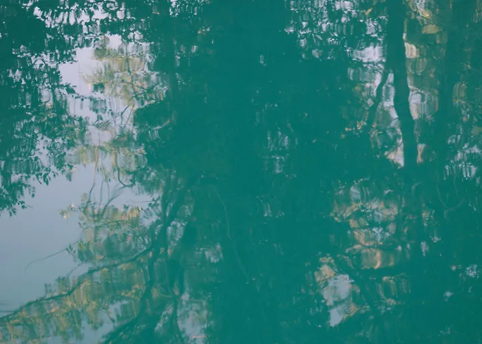 D'hotes Cugnac Sainte-Sabine-Born