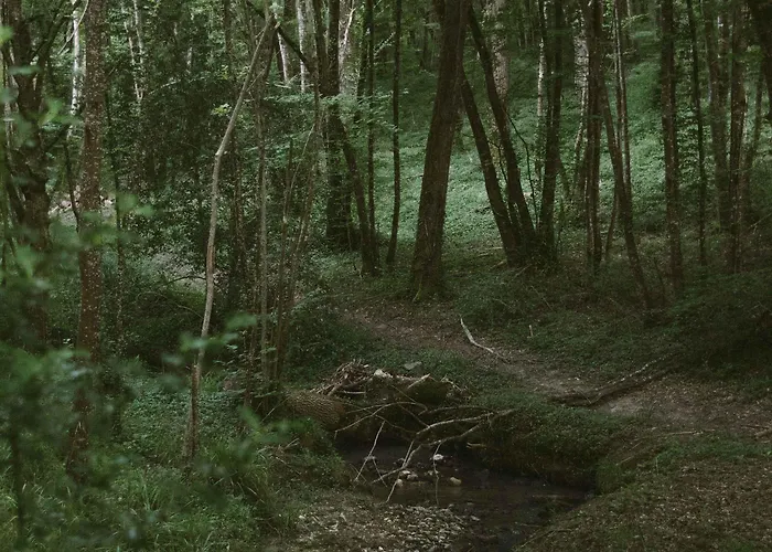 D'hotes Cugnac Κατάλυμα σε φάρμα *