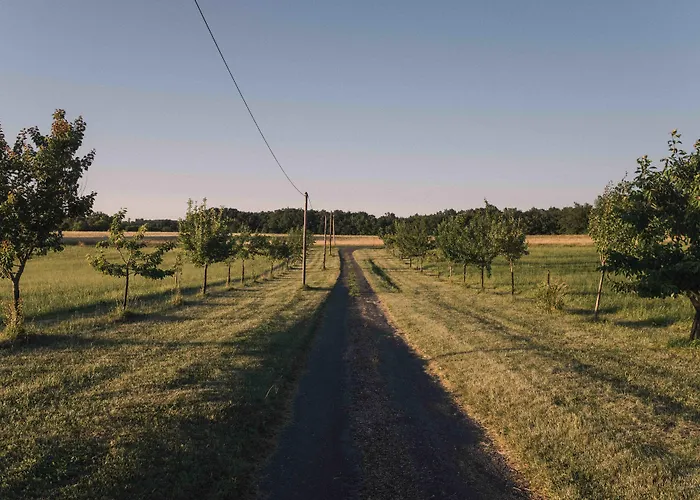 Farmház D'hotes Cugnac *