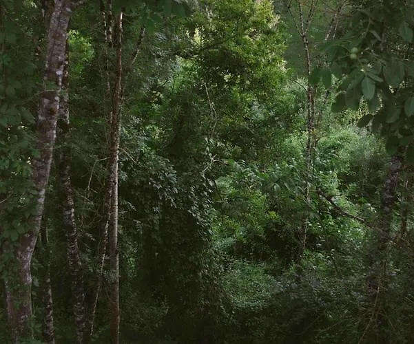 D'hotes Cugnac ファームステイ